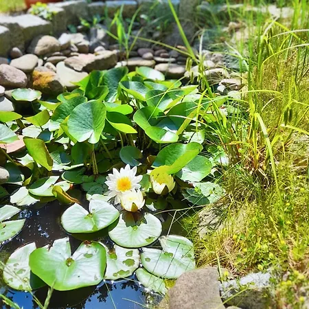 Séjour chez l'habitant Przy Parku Miedzyzdroje